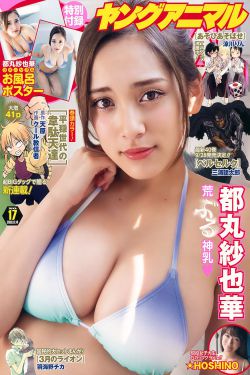 青瓷电视剧剧情介绍